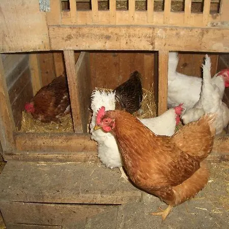 Apart Landhaus Ferrari * וויסינג